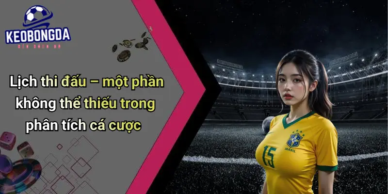 Lịch Thi Đấu