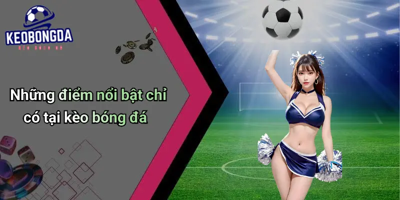 Giới Thiệu 4 Giới Thiệu