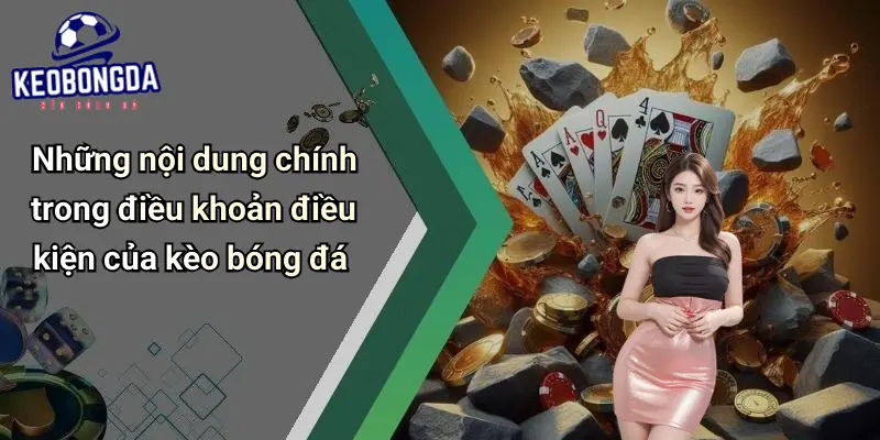 Điều Khoản Điều Kiện