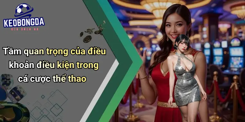 Điều Khoản Điều Kiện