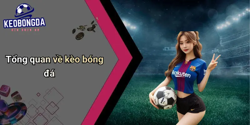 Giới Thiệu 1 Giới Thiệu