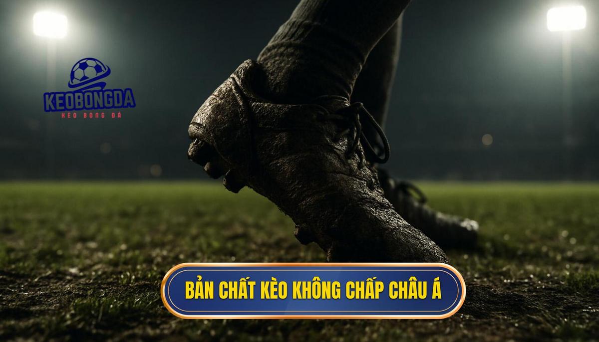 Bản chất thực sự của kèo không chấp trong hệ thống kèo châu Á