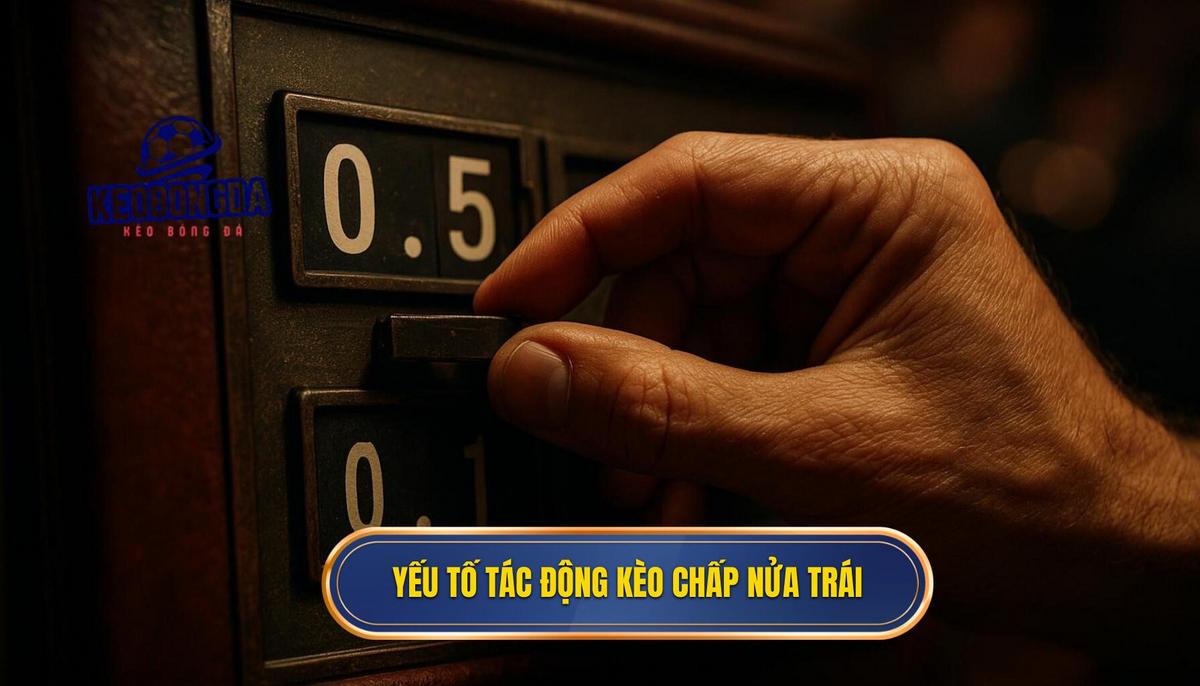 Phân tích các yếu tố tác động đến sự biến động của kèo chấp nửa trái