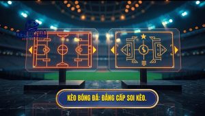 So sánh kèo bóng đá châu Á và châu Âu: Đâu là lựa chọn tối ưu?