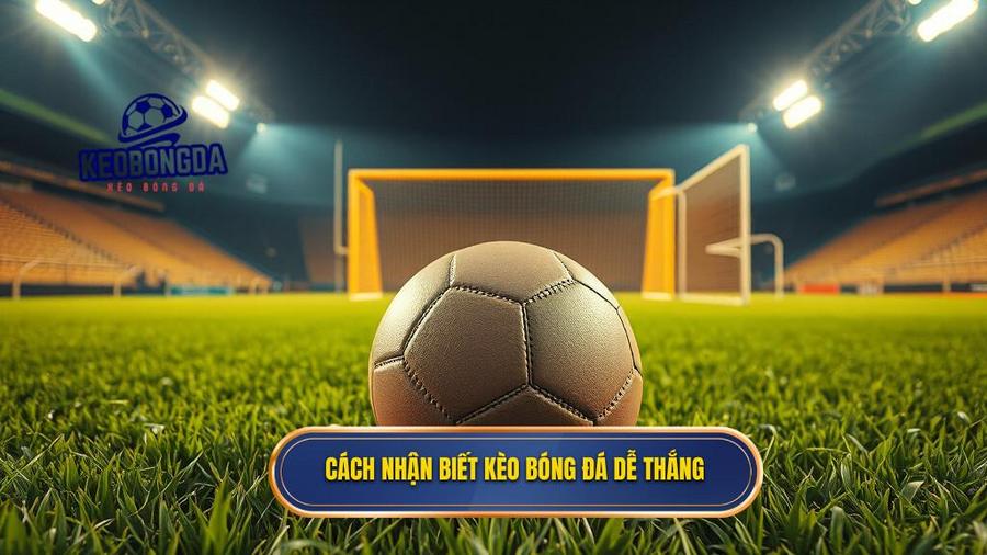 Cách nhận biết kèo bóng đá dễ thắng