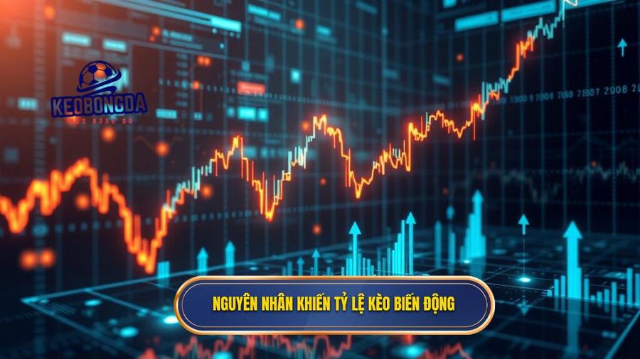 2. Nguyên nhân khiến tỷ lệ kèo biến động