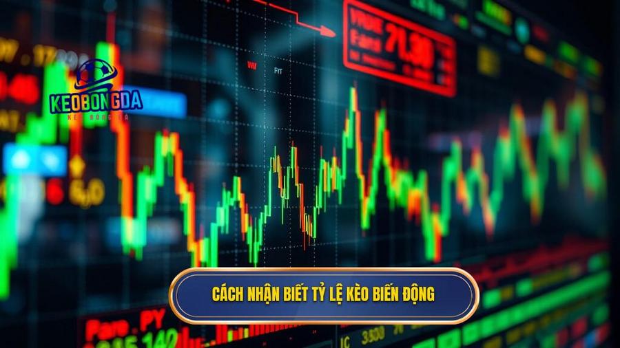 3. Cách nhận biết tỷ lệ kèo biến động