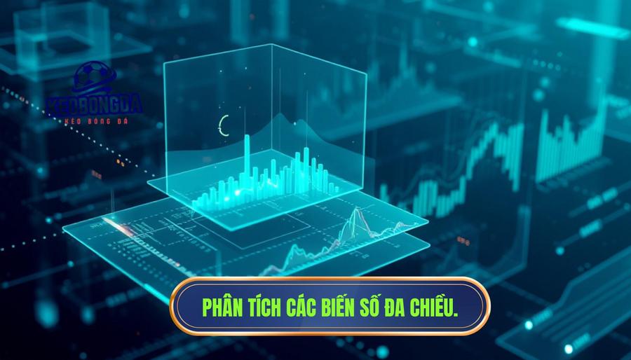 Phân tích đa chiều: Những biến số đằng sau con số