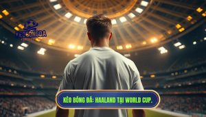 Haaland có cơ hội dự World Cup 2026 không
